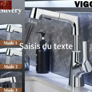 Robinet Lavabo Multifonction VIGO INOX