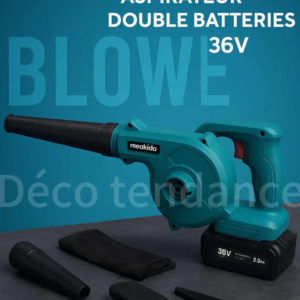 Souffleur aspirateur Double batterie 36V