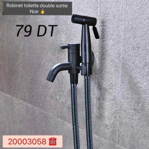 robinet toilette double sortie Noir Mat