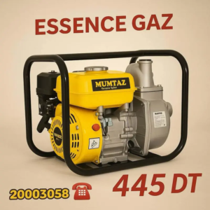 Pompe à Eau MUMTAZ 7.5HP – Essence & Gaz (2EN1)